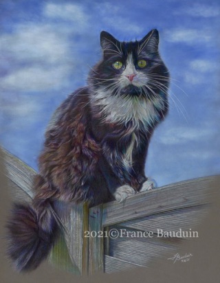 Beloved Uni - 76 hours
Dark Grey Pastelmat Board
22.5" x 18"
Ref: My own photo